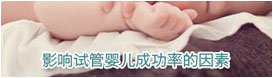 美国借卵生子的费用_试管婴儿可以借卵吗_杭州借卵子试管生子 杭州生育津贴申